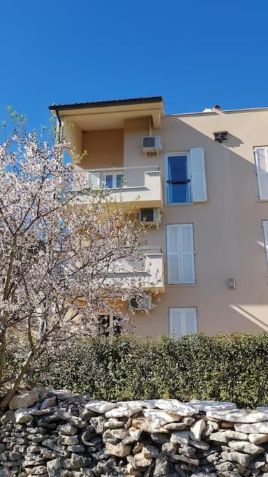 Punta Apartament *
